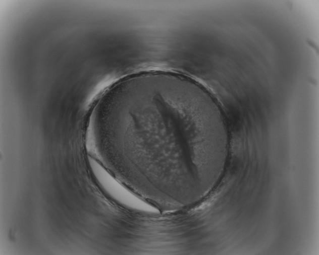 X0000096471359200801311525