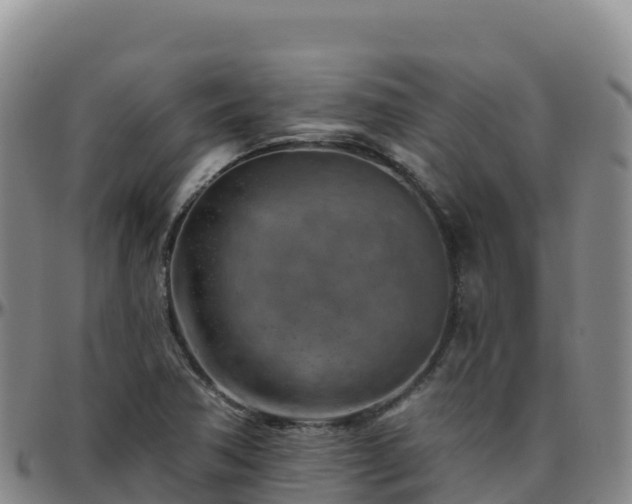X0000096471362200801311525