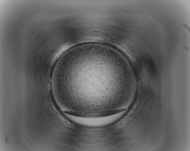 X0000096471363200801311525