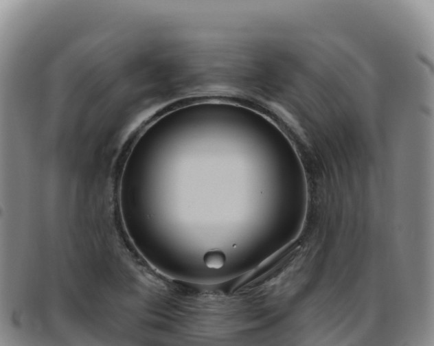 X0000096471364200801311525