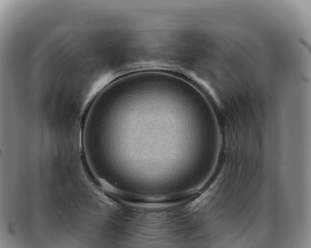 X0000096471365200801311525