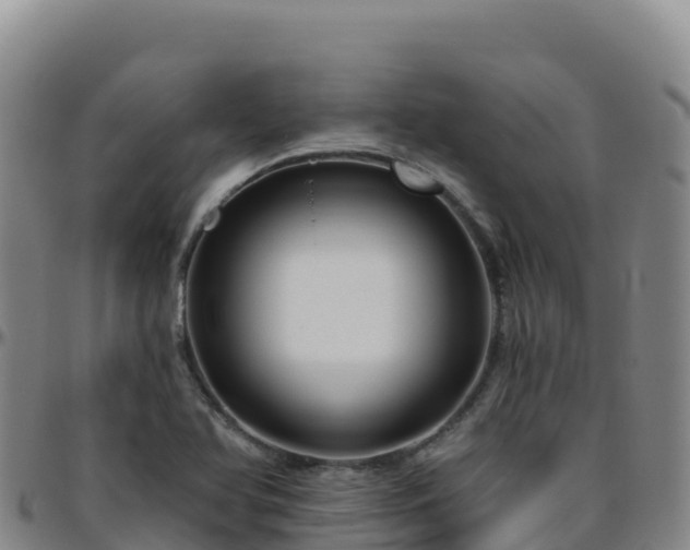 X0000096471366200801311525