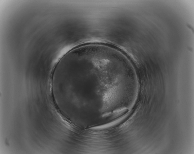 X0000096471367200801311525