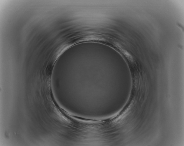 X0000096471369200801311525