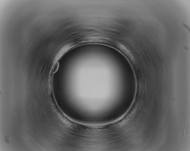 X0000096471370200801311525
