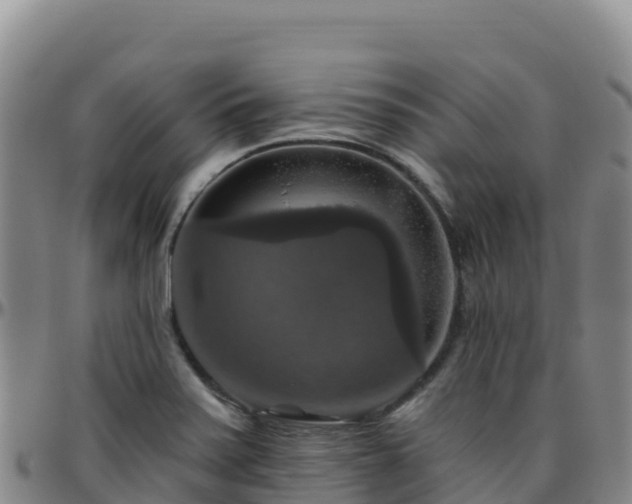 X0000096471371200801311525