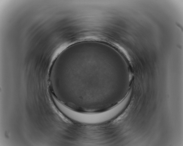 X0000096471373200801311525