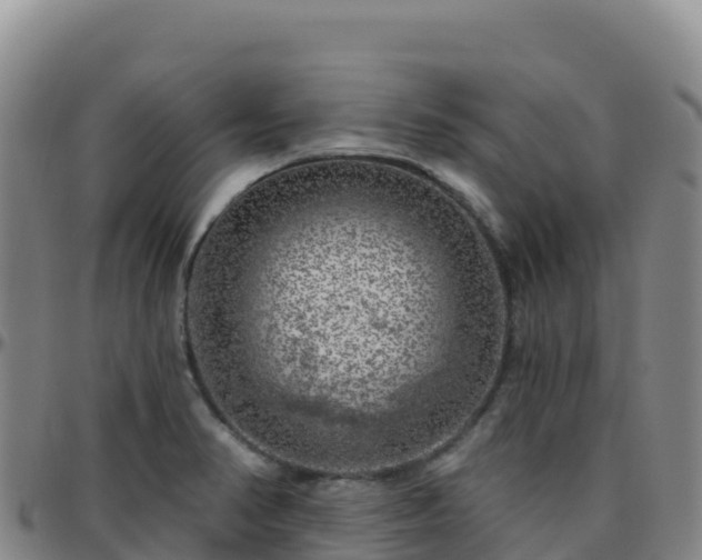 X0000096471374200801311525