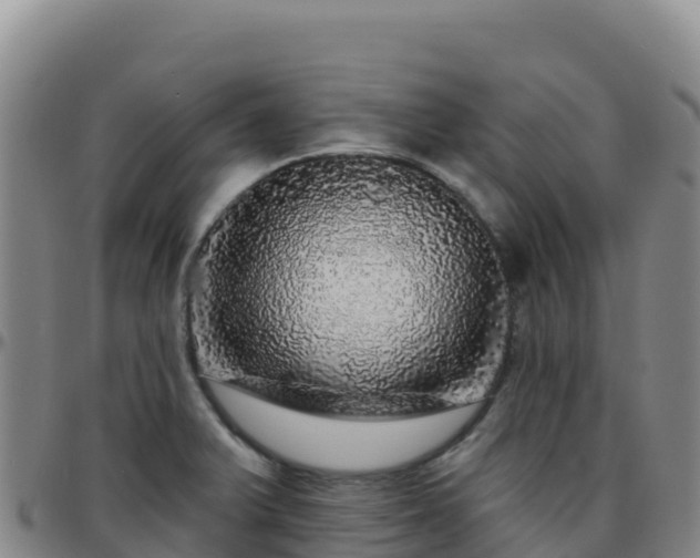 X0000096471375200801311525