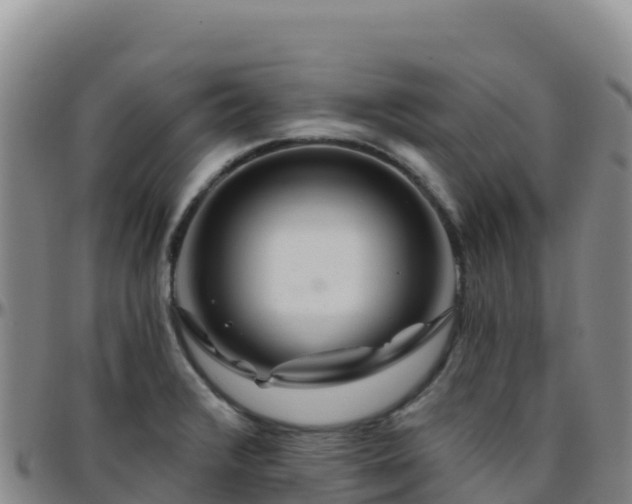 X0000096471376200801311525
