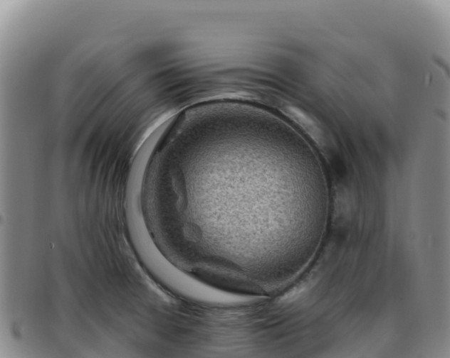 X0000096471377200801311525