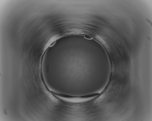 X0000096471378200801311525