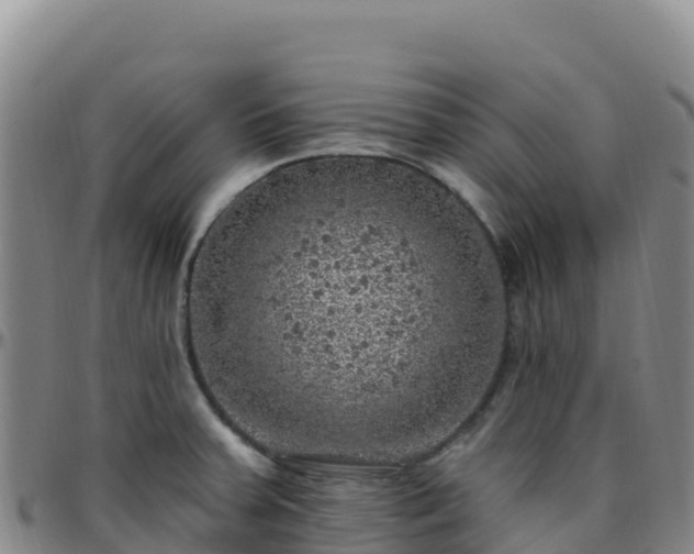 X0000096471379200801311525