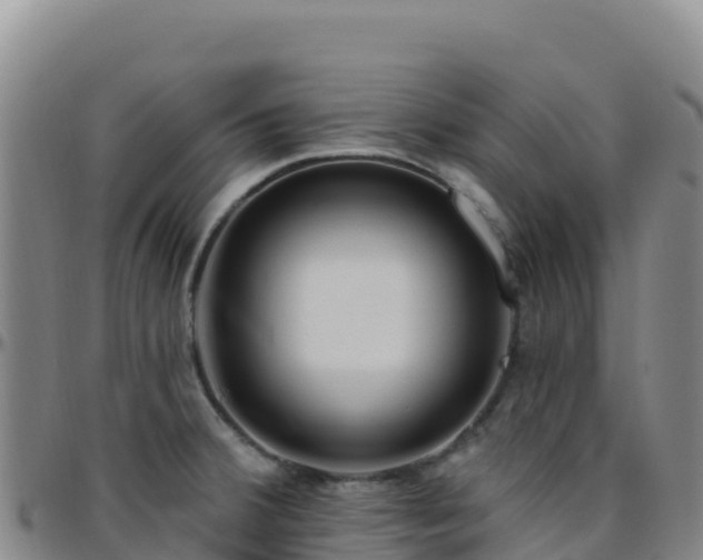 X0000096471380200801311525