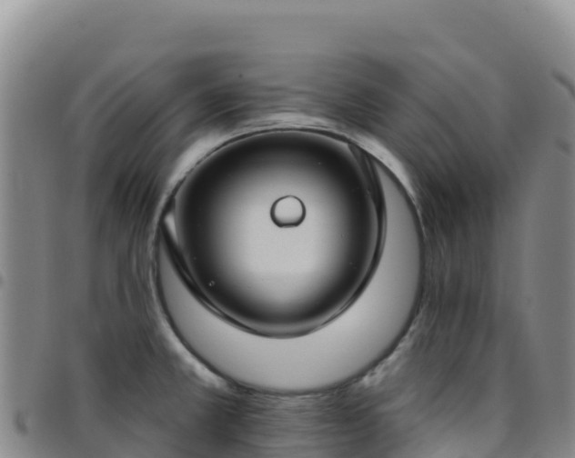 X0000096471381200801311525