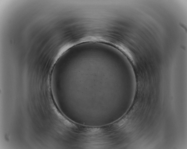 X0000096471382200801311525