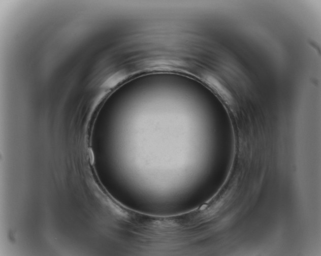 X0000096471384200801311525