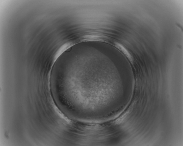X0000096471386200801311525