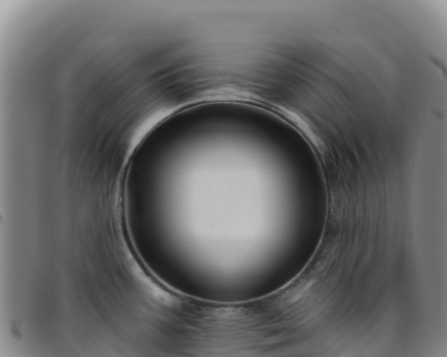 X0000096471387200801311525