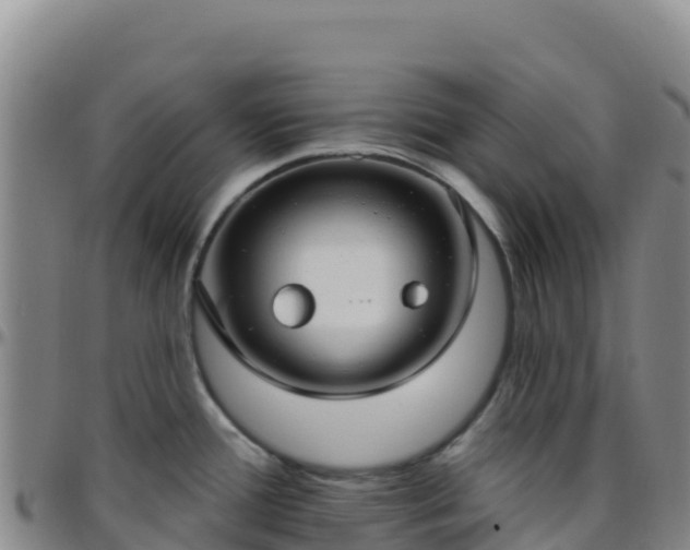 X0000096471388200801311525