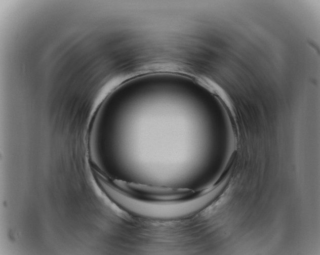X0000096471389200801311525