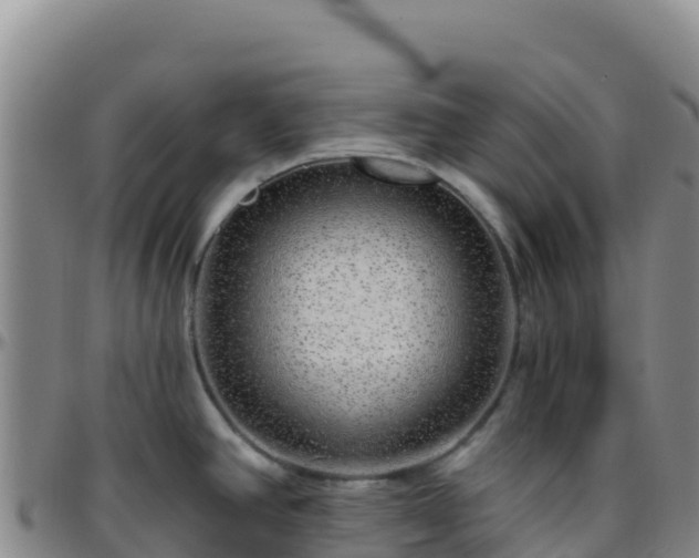 X0000096471390200801311525