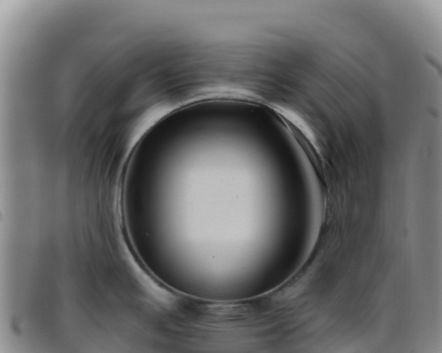 X0000096471391200801311525