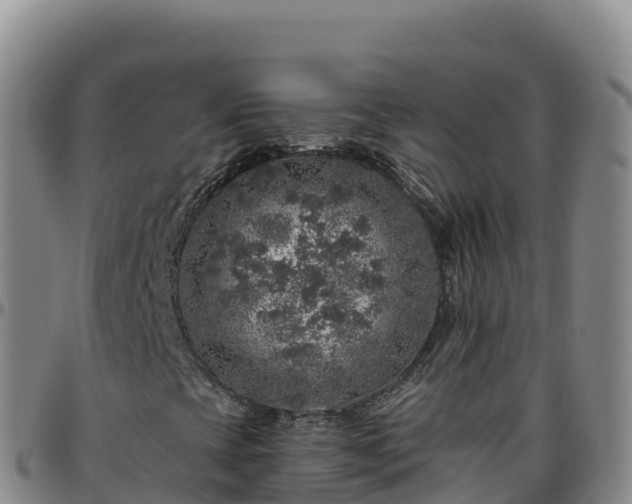 X0000096471393200801311524
