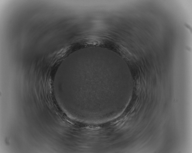 X0000096471394200801311524