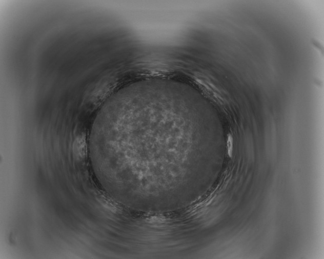 X0000096471395200801311524
