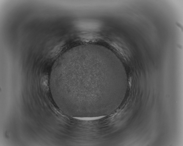 X0000096471396200801311524