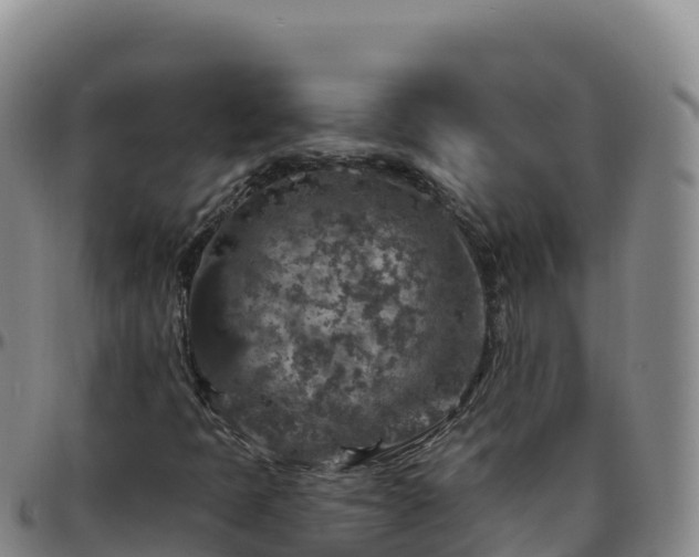 X0000096471397200801311524