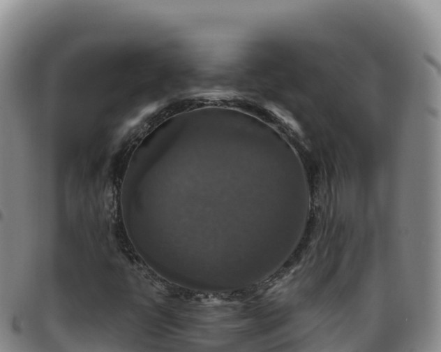 X0000096471398200801311524