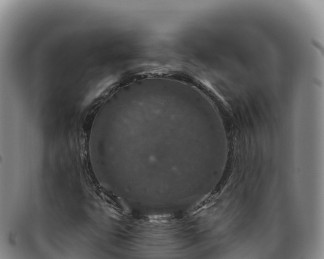 X0000096471399200801311524