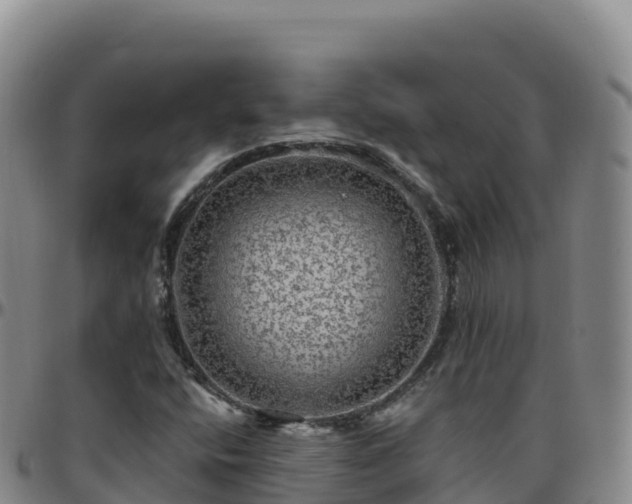 X0000096471400200801311524