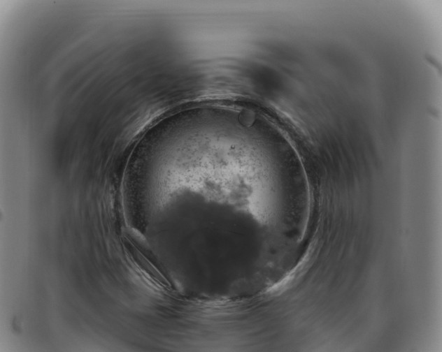 X0000096471401200801311524