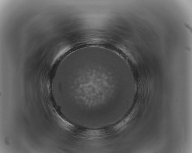 X0000096471402200801311524