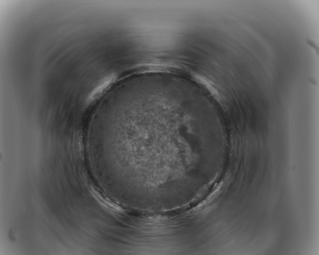 X0000096471403200801311524