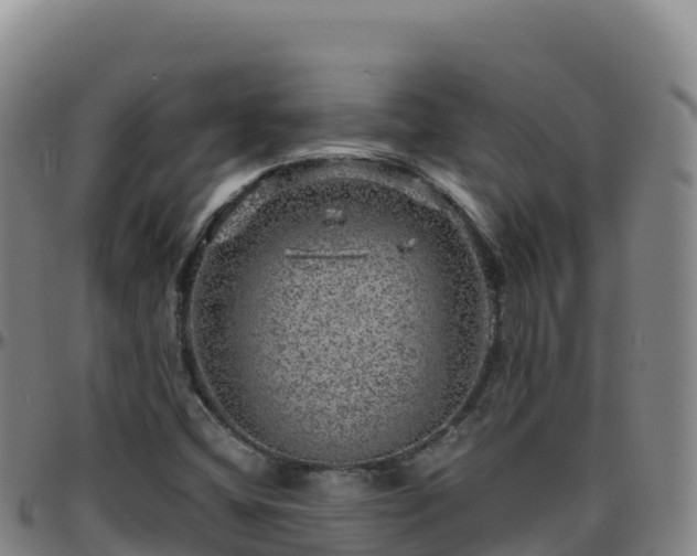 X0000096471404200801311524