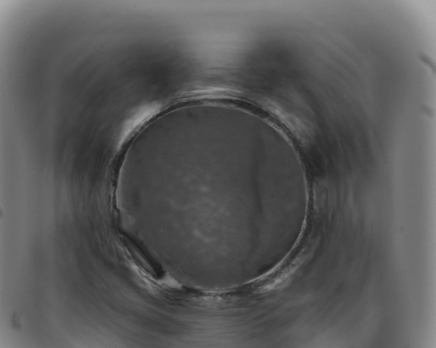 X0000096471405200801311524