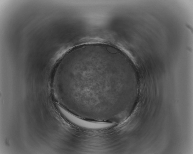 X0000096471407200801311524