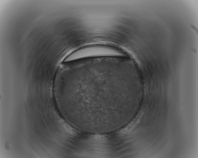 X0000096471409200801311524