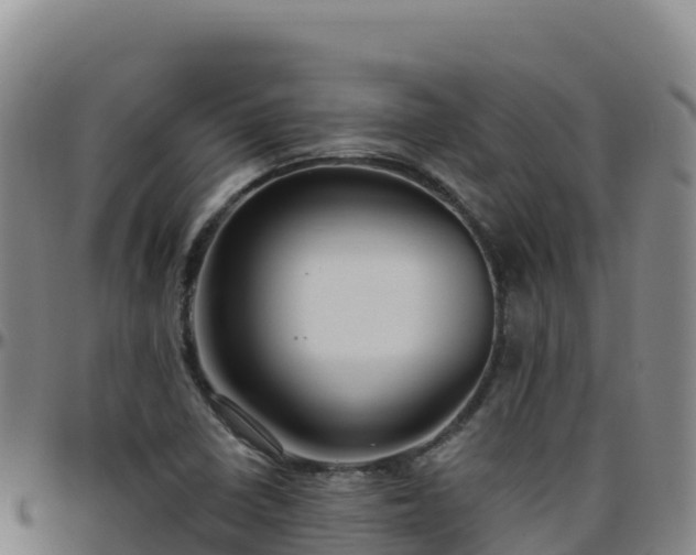 X0000096471410200801311524