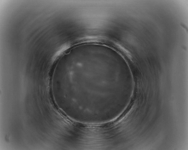 X0000096471411200801311524