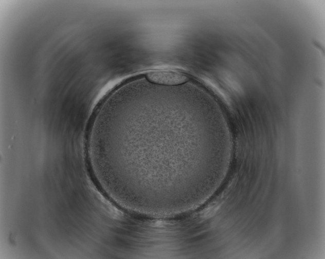 X0000096471412200801311524
