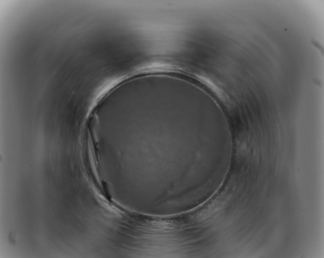 X0000096471413200801311524