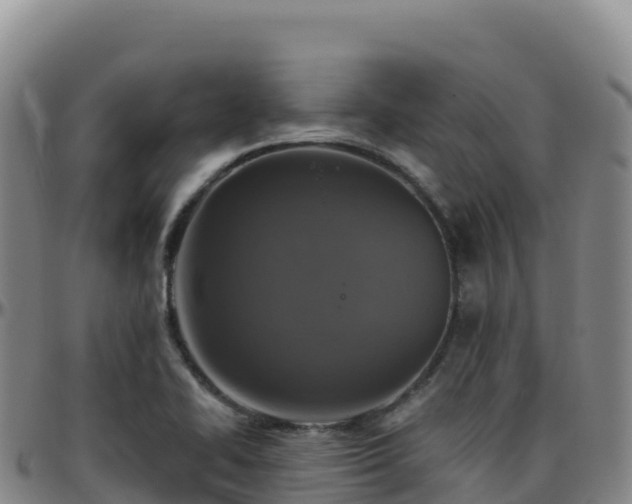 X0000096471414200801311524