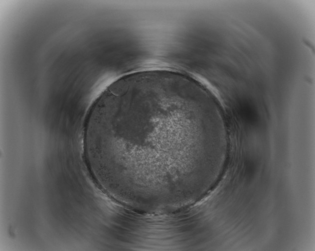 X0000096471415200801311524