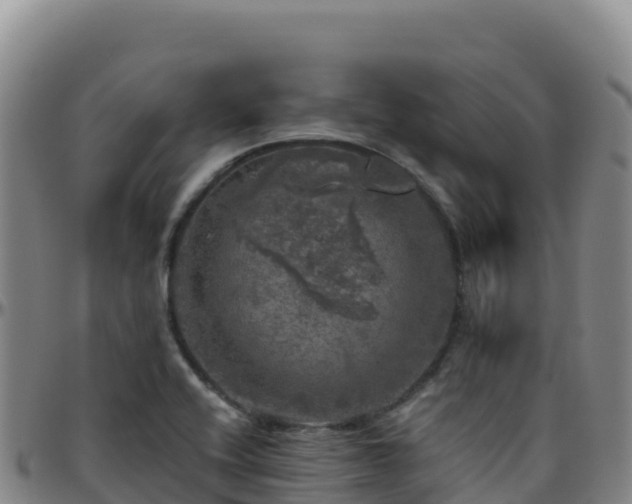 X0000096471416200801311524