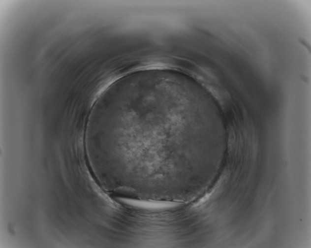 X0000096471417200801311524